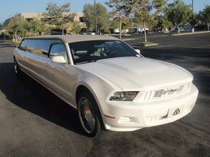 �������-��������� Ford Mustang. ������� ����. ������ ���������. ������ ��������. ������� �� �������. ��������� ��������. ����� �������� ����